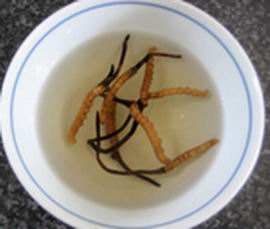 冬虫夏草泡水喝好吗,虫草泡水一次要放几根?