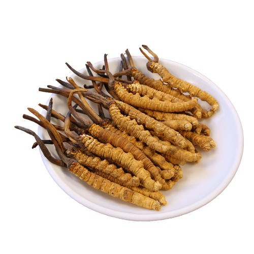 冬虫夏草香烟的价格